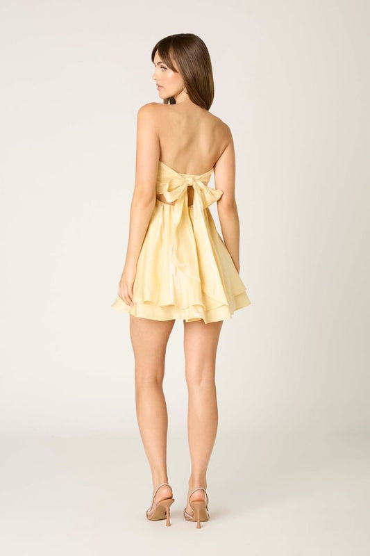 Say It Out Loud Mini Dress