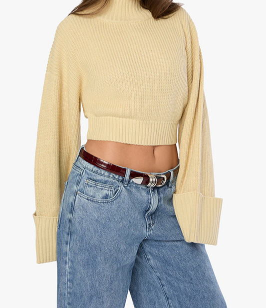 Cropped Turtle Neck Sweater