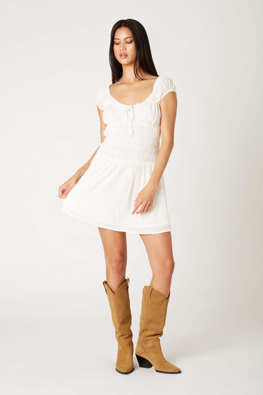 Fredericksburg Mini Dress