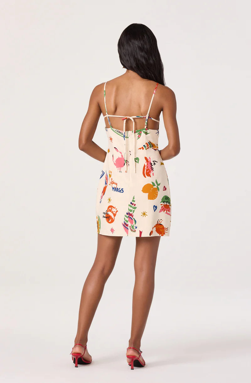 Valencia Mini Dress