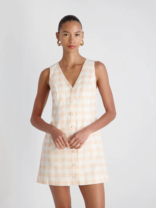 Aspen Gingham Mini Dress
