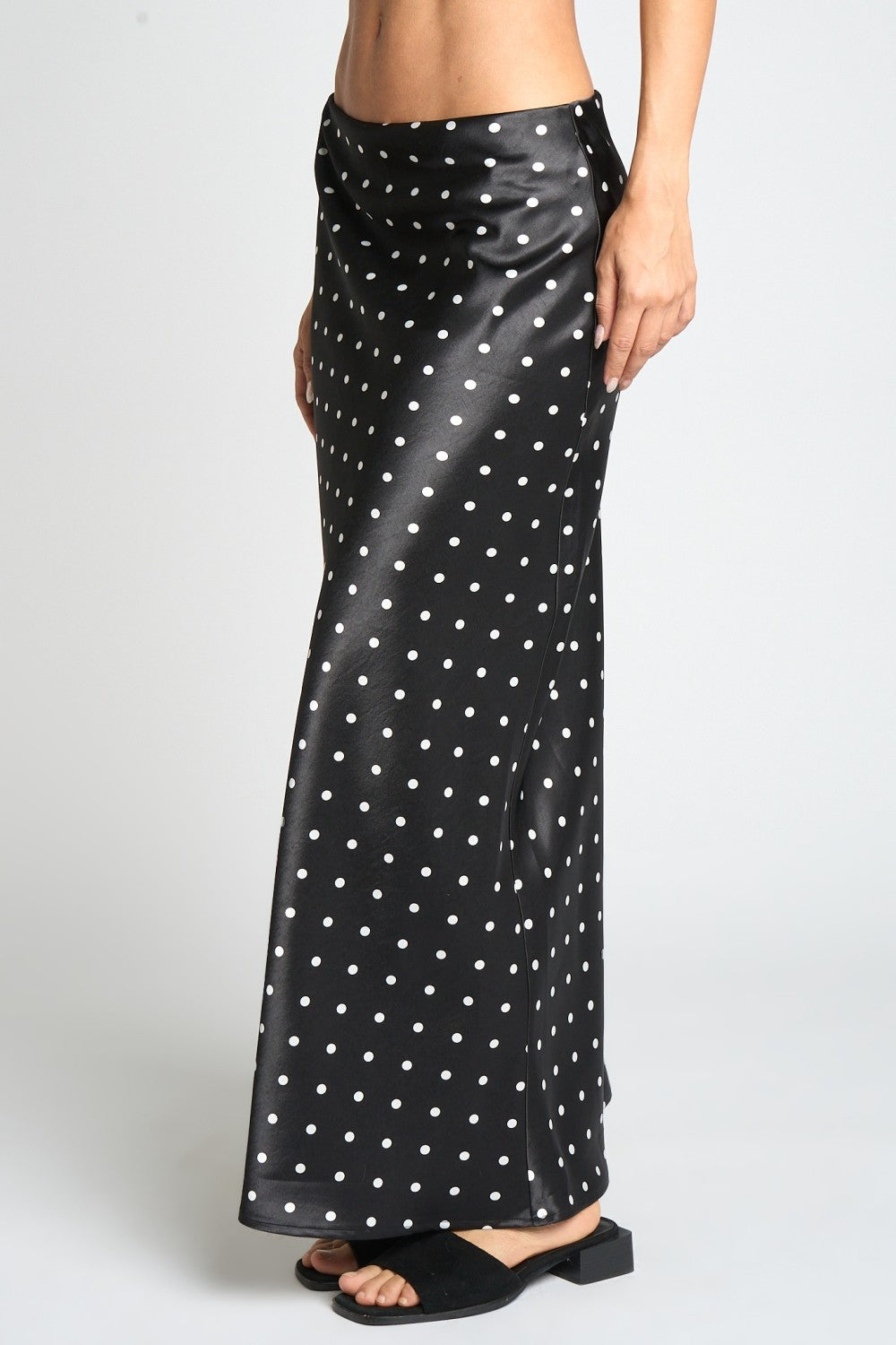 Sitting Pretty Maxi Skirt