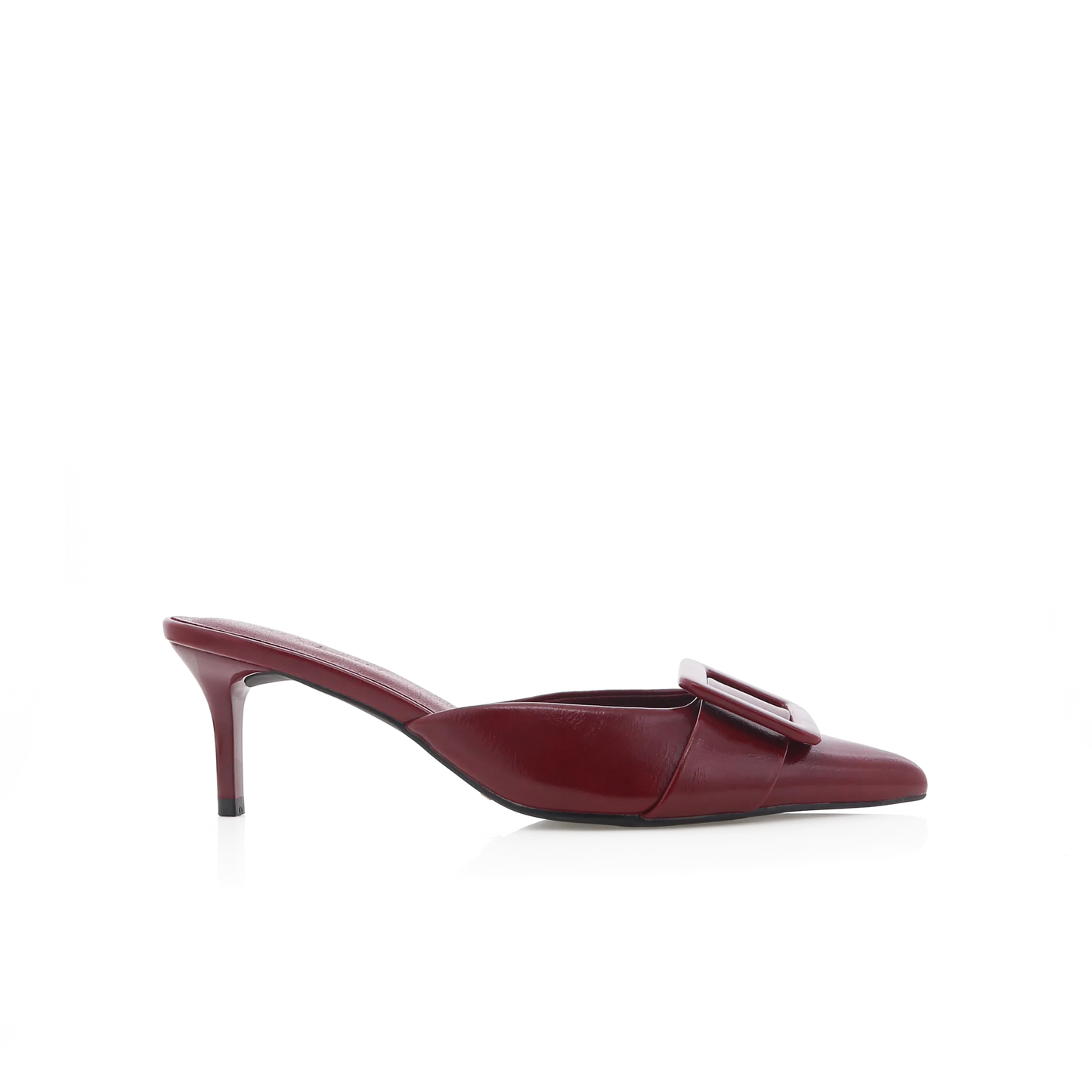 Yorkie Heel
