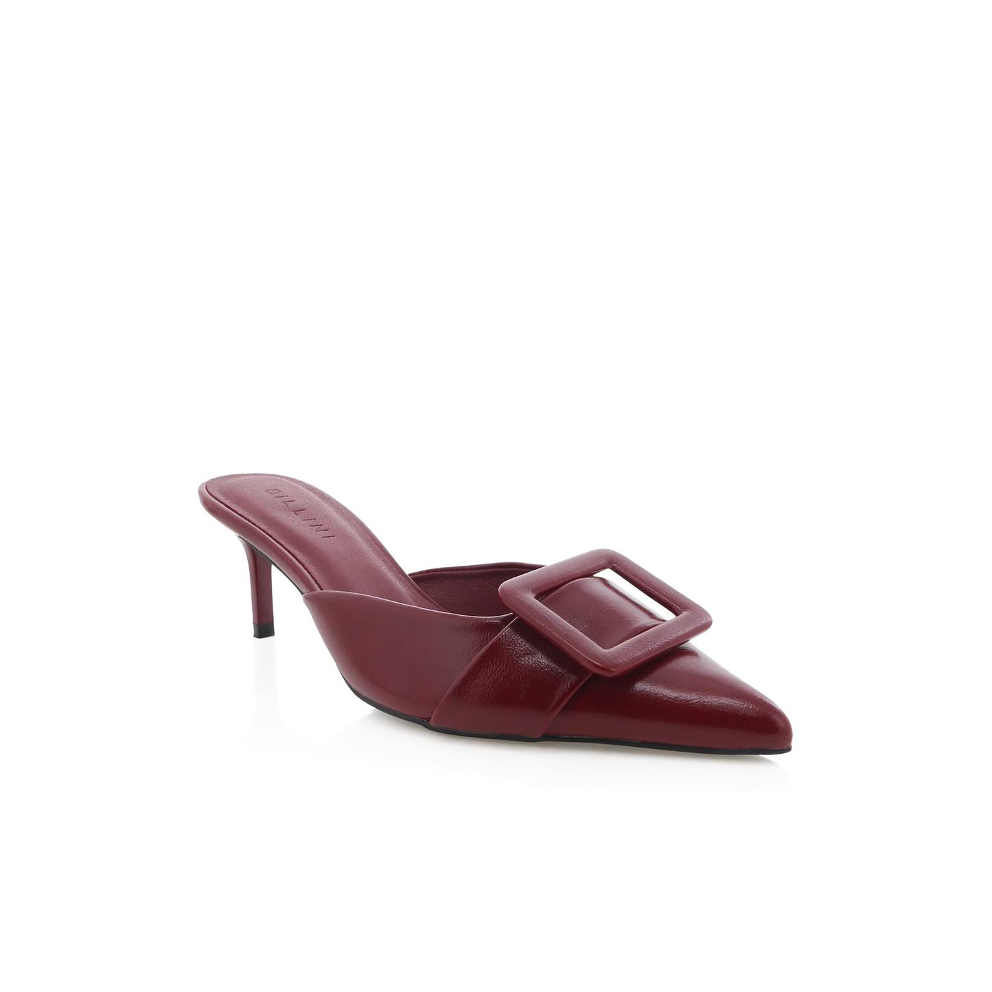 Yorkie Heel