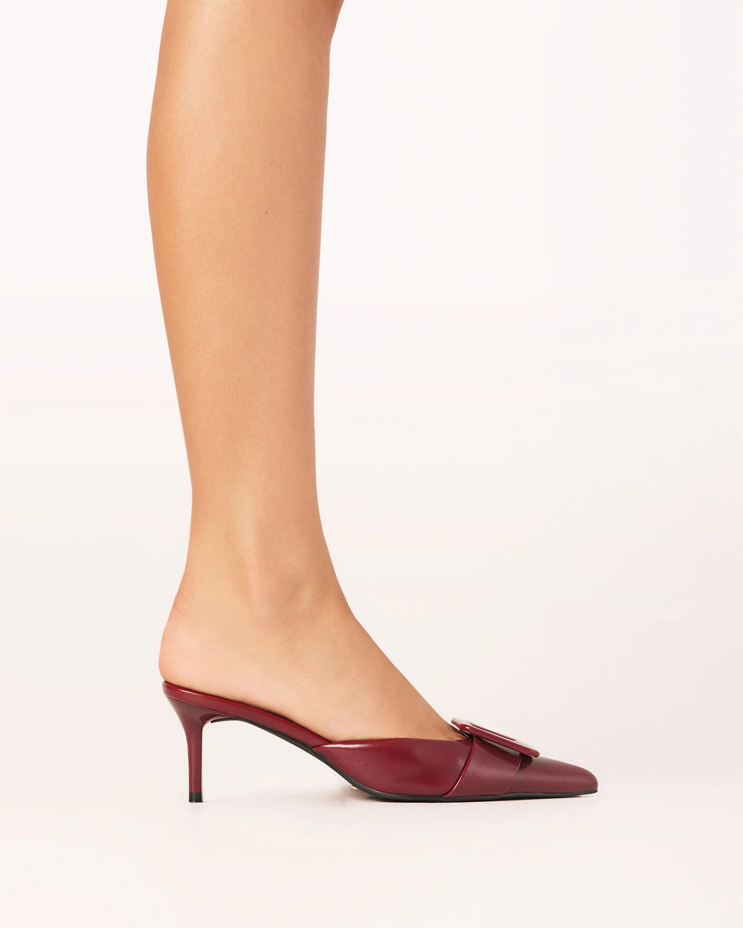 Yorkie Heel